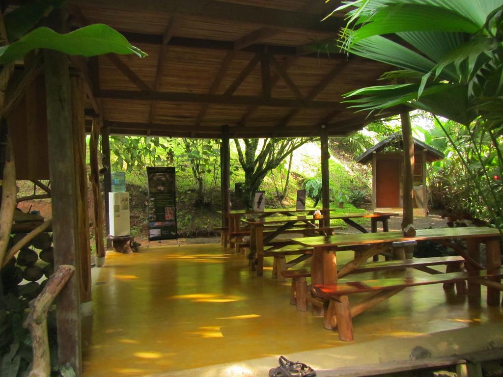El Chontal Otel Rincón Dış mekan fotoğraf